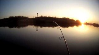 Amazing carpfishing Chervoniy Prapor