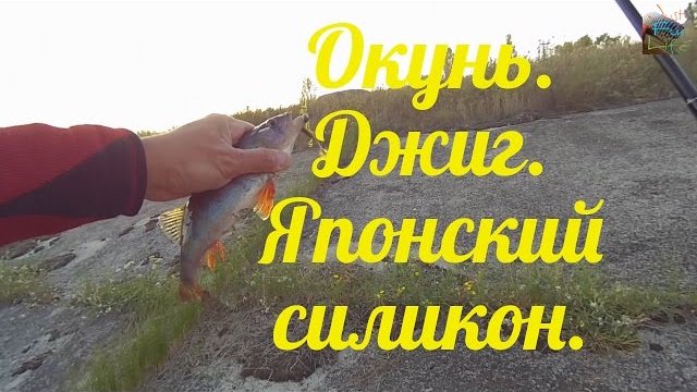 Отчет о рыбалке Окунь. Джиг. Японский силикон.