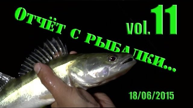 Рыбалка на Щуку и Судака.  Отчёт с Рыбалки  vol. 11.