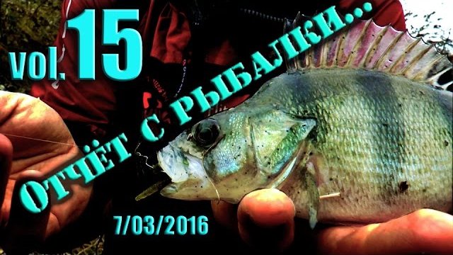 Обзор Спиннинга EbisuII Gold и Tiro Nuovo. Отчёт с Рыбалки №15. Рыбалка на Окуня.