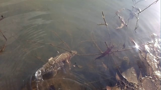 сезон жидкой воды 2017 открыт