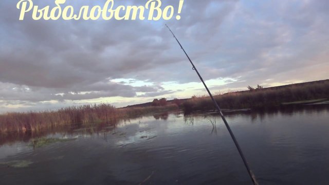 Рыбалка, коровы, вертолеты!!))(Fishing, Cоw, Helicopter)