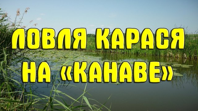 Ловля карася на поплавочную удочку на "канаве". Мелкий карасик на поплавчанку (поплавок)