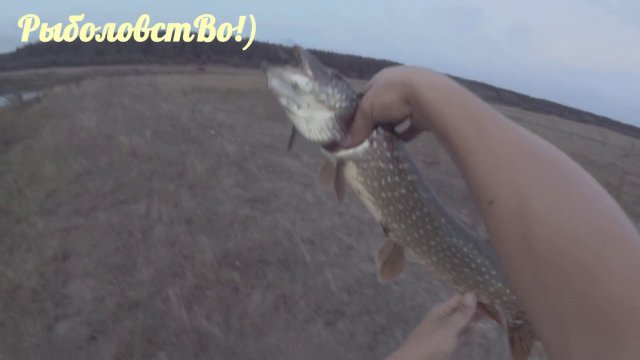 Обычная "вращалка", у ЩУКИ не было шансов!! [Pike fishing for spinning]