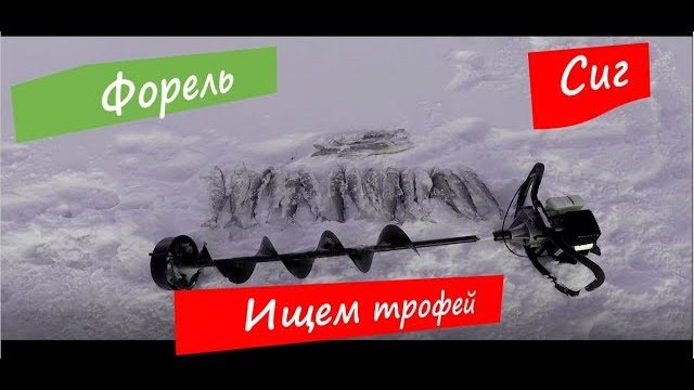 Первая рыбалка в 2019. Форель, сиг и отличный отдых.