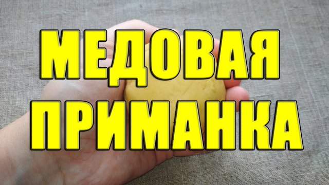 Медовая приманка для рыбалки своими руками. Супер приманка для мирной рыбы из меда и хлеба