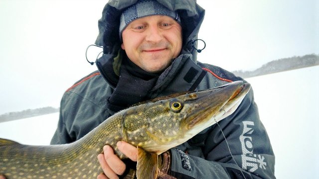 Ловля крупной щуки на жерлицы, мой трофей из лунки