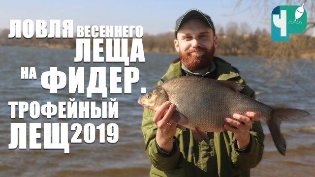 Ловля весеннего леща на фидер. Трофейный лещ 2019