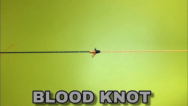 BLOOD KNOT | КАК СВЯЗАТЬ ДВЕ ЛЕСКИ