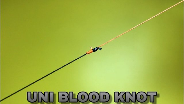 UNI BLOOD KNOT | КАК СВЯЗАТЬ ДВЕ ЛЕСКИ