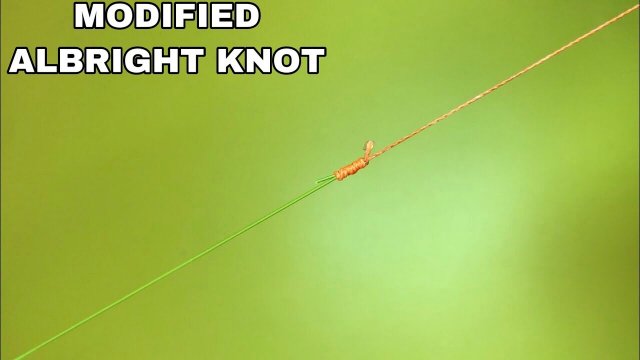 MODIFIED ALBRIGHT KNOT | FISHING KNOT