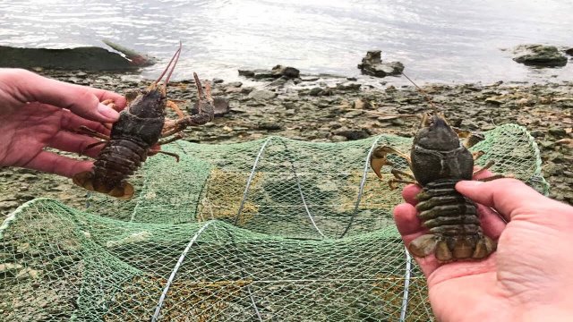 Ловля раков в Феврале  Сезон Открыт | catch crayfish