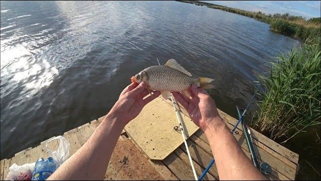 ЛОВЛЯ КАРАСЯ НА ДОНКИ | river fishing