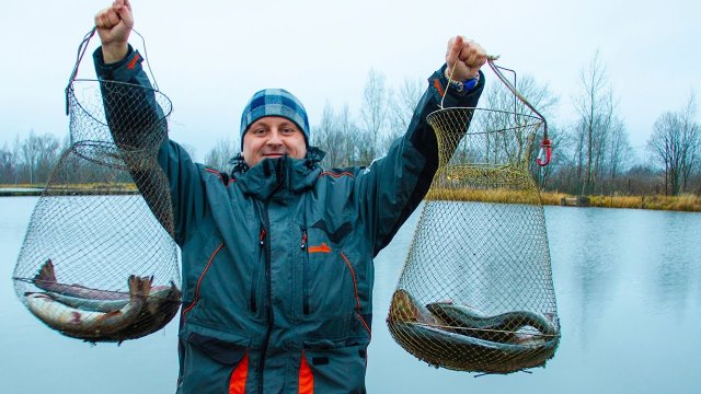 Красная рыба в железной сетке