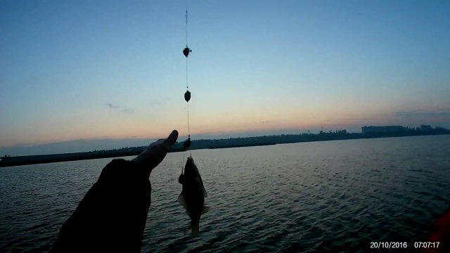 Утренний Карась | river fishing