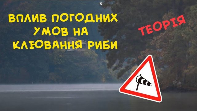 Вплив вітру, температури, атмосферного тиску на кльов риби. Вплив погоди на рибалку.