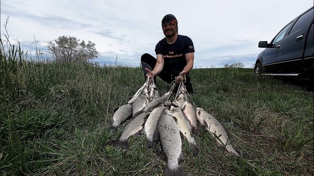 Универсальная приманка по белой рыбе. Cнасть на сига. Whitefish