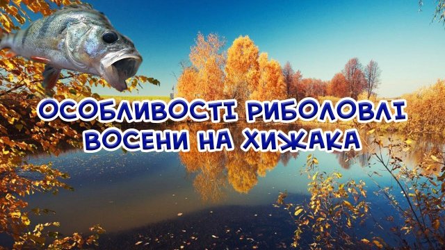 Особливості осінньої риболовлі. Осіння риболовля на хижака. Секрети ловлі щуки, окуня, судака восени