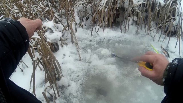 Третій вихід на лід 2021) Риболовля на мотиля зимою. Окунь на кивок.