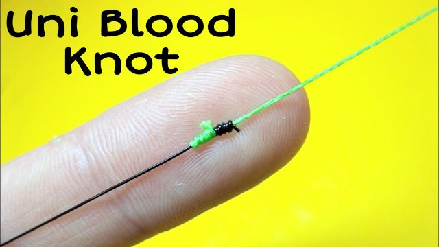 Соединительный узел uni blood knot. Как связать леску между собой. Лайфхаки и самоделки. Рыбалка