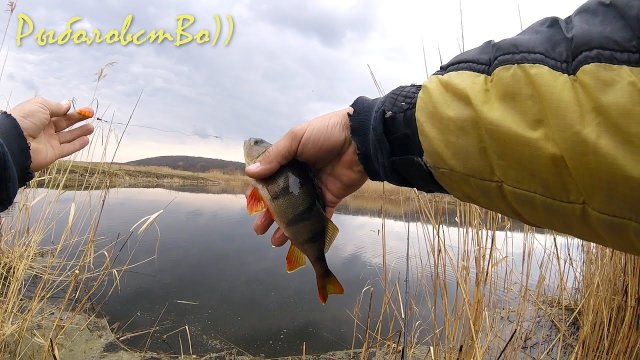 Рыбалка на маленьких озерцах! Поклевки щучек и окуньков!