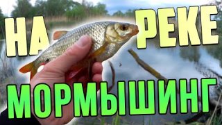 Ловля белой рыбы на спиннинг. Мормышинг  на реке