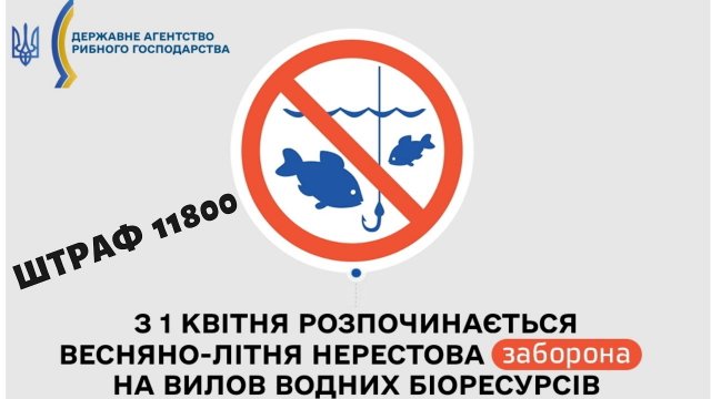 Запрет на рыбалку 2021 Украина.Какие штрафы за нарушения правил рыбальства?Где запрещено ловить рыбу