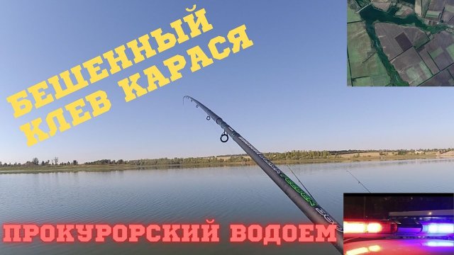 КАРАСИ на ПРОКУРОРСКОМ водоёме. РЫБАЛКА в Донецкой области на САМАРСКИХ ставках. Бешенный клев Ч.1