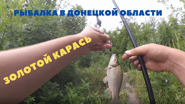 Рыбалка. Ловля рыбы на снасть Убийца карася