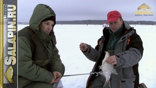 Ловля подлещика зимой на водохранилищах без течения