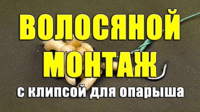 Волосяной монтаж с клипсой для опарыша. Карповая клипса для опарыша из Китая