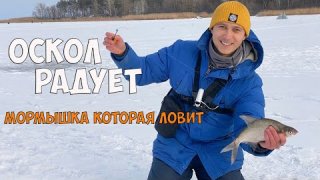 Оскол РЫББРИГАДА Мормышка которая ловит