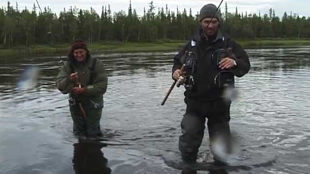 Безумные окуни или СУМАСШЕДШАЯ РЫБАЛКА