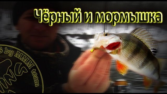 Микроджиг (наноджиг). Чёрный, мормышка и окунь.