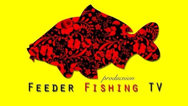 Trailer to channel Feeder Fishing TV