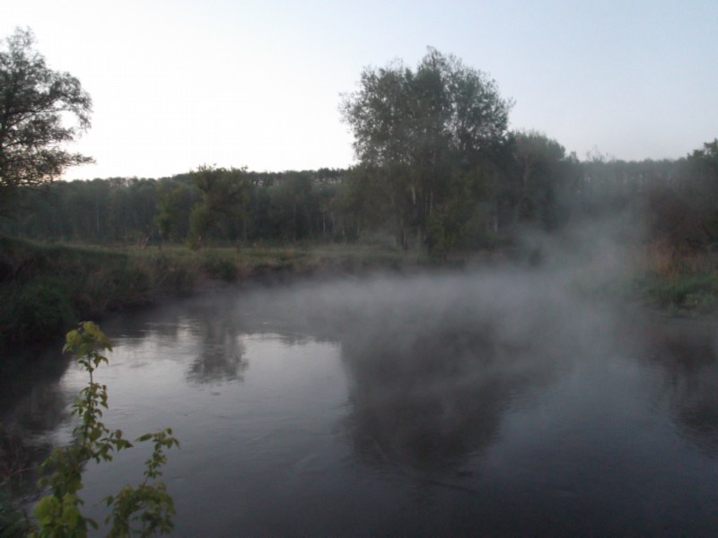 Река утром.