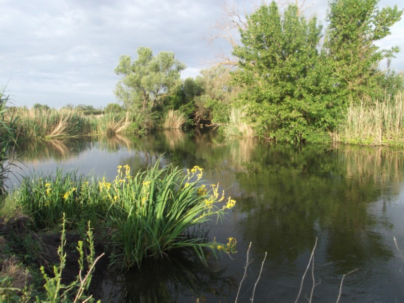 Северский Донец.