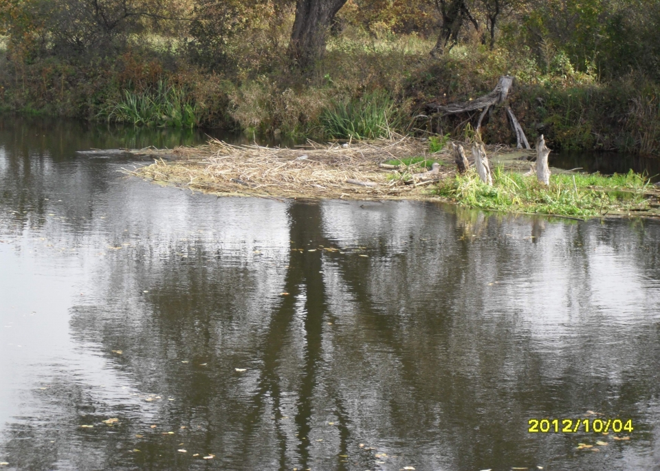 р. Оскол