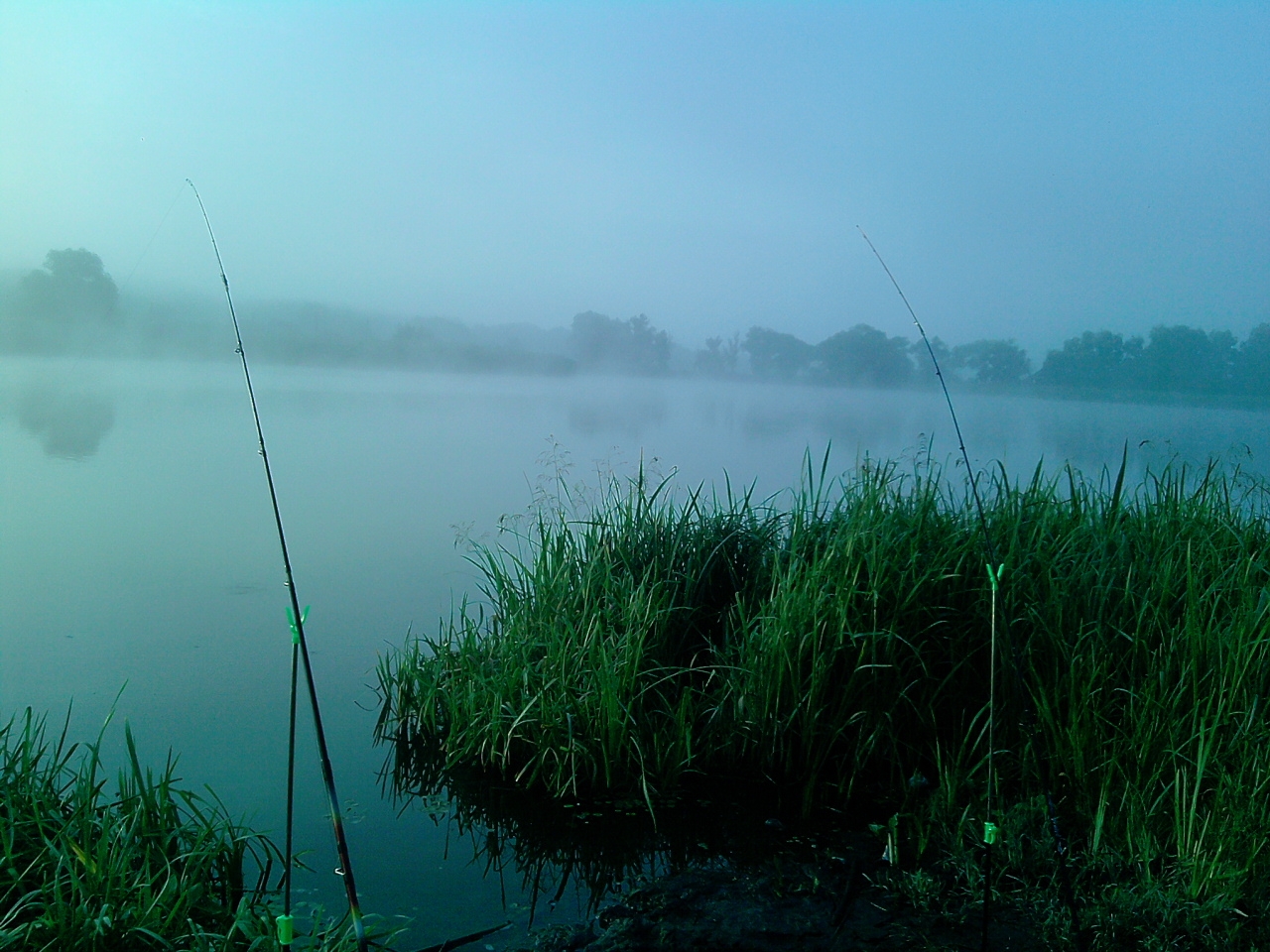 2013г. Левковка