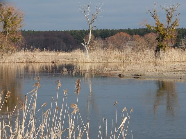 Рыбалка на северском донце